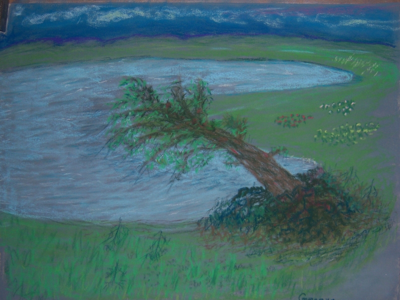 Leaning Tree by artist Geneva Johnson